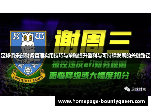 足球俱乐部财务管理实用技巧与策略提升盈利与可持续发展的关键路径