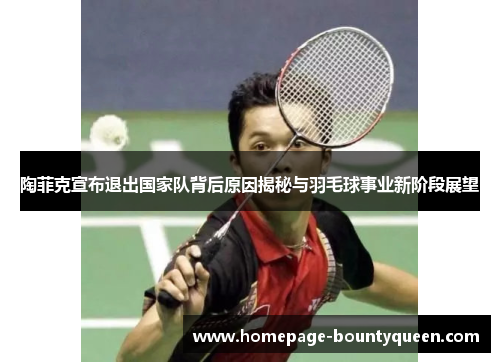 陶菲克宣布退出国家队背后原因揭秘与羽毛球事业新阶段展望