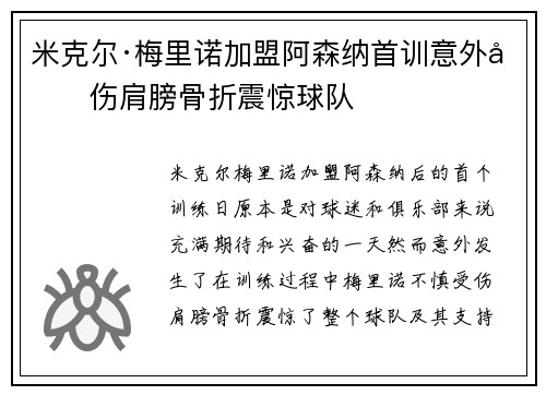 米克尔·梅里诺加盟阿森纳首训意外受伤肩膀骨折震惊球队
